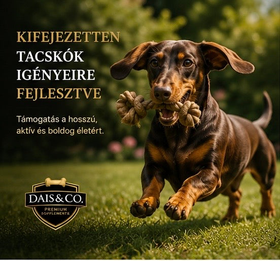 Tacskóknak fejlesztett prémium takarmánykiegészítő - újdonság a Dais&Co.-tól